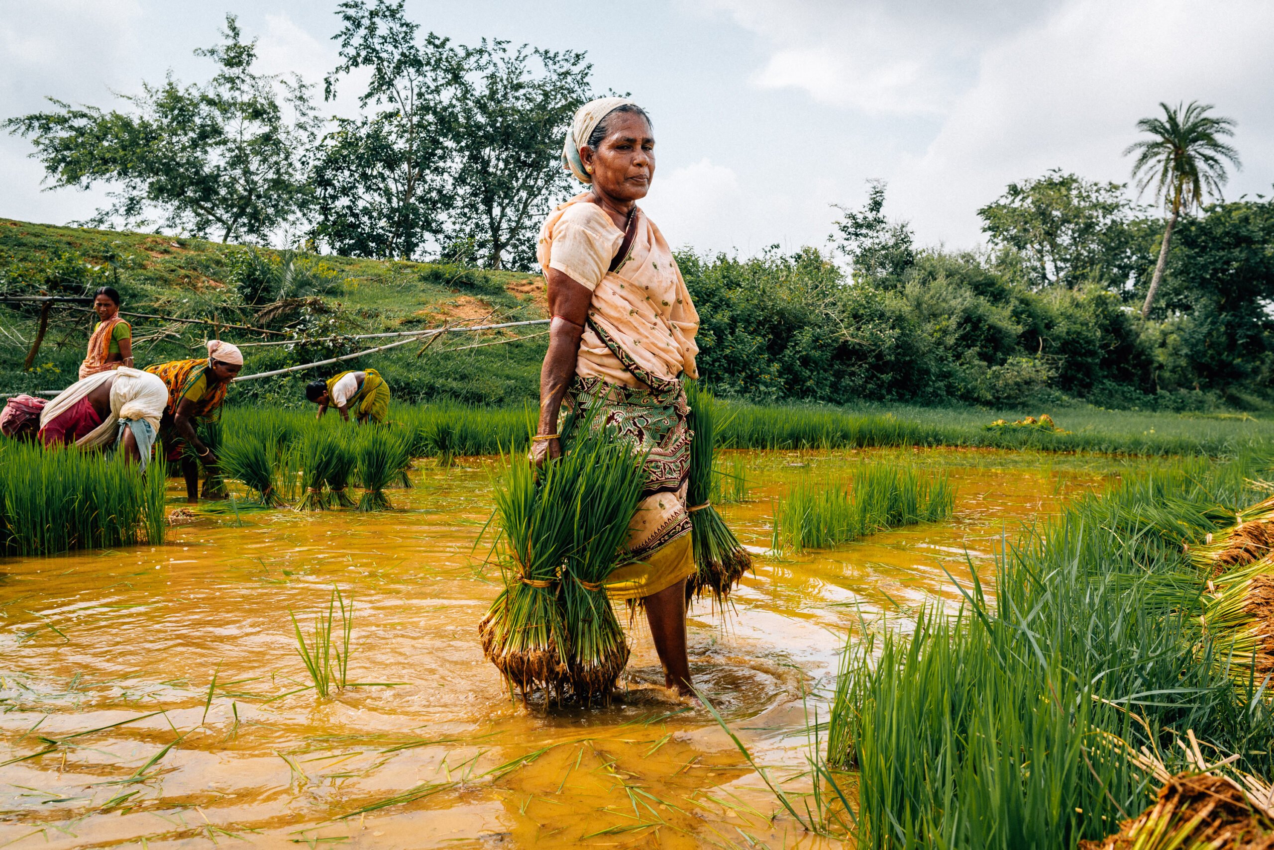 farming_old_picture_high_res