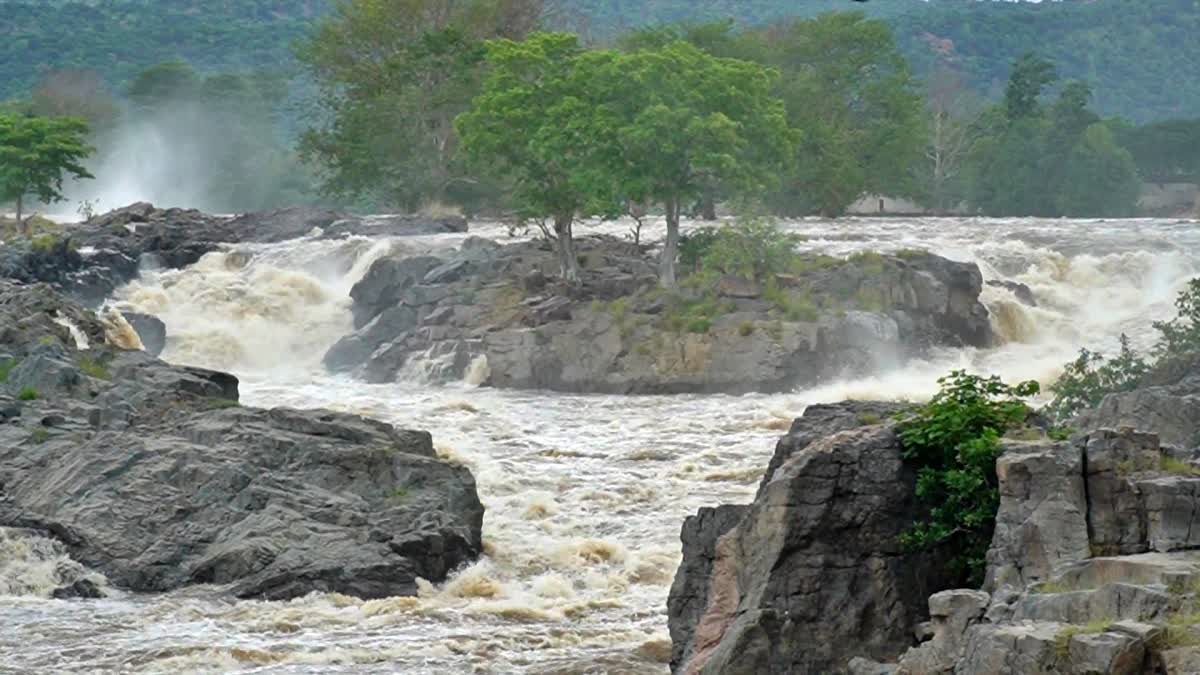 ಹೊಗೆನಕಲ್​ನಲ್ಲಿ ಕಾವೇರಿ ರುದ್ರ ನರ್ತನ: ಪ್ರವಾಸಿಗರಿಗೆ ನೋ ಎಂಟ್ರಿ