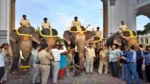 ದಸರಾ ಗಜಪಡೆಯ 2ನೇ ತಂಡಕ್ಕೆ ಸರಳ ಸಾಂಪ್ರದಾಯಿಕ ಸ್ವಾಗತ