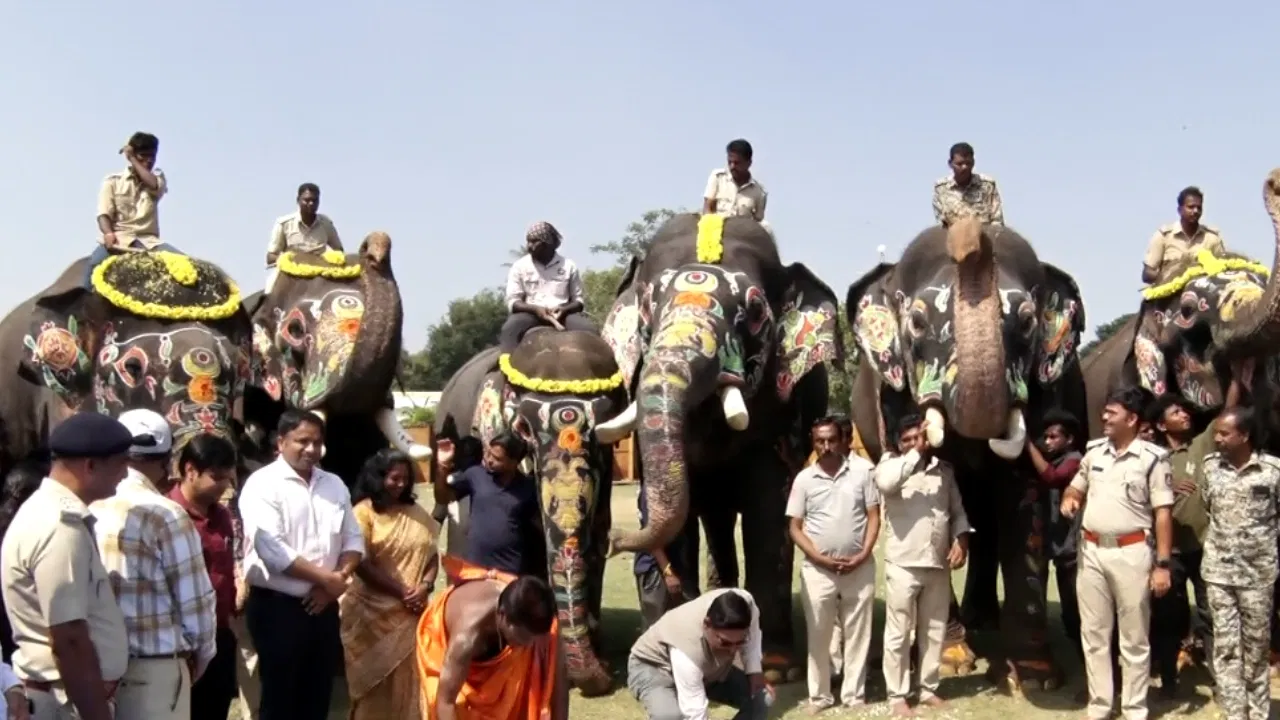 ಮೈಸೂರು ದಸರ ನೋಡಲು ಸುಂದರ..! ಪೂರ್ವ ಸಿದ್ದತೆ ಹೇಗಿದೆ ಗೊತ್ತಾ..!