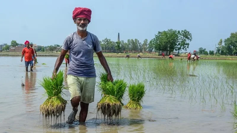 ಸಂಪಾದಕೀಯ || ರೈತರಿಗೆ ಉಪಯುಕ್ತ ದಾಖಲೆ ಒದಗಿಸಲು ಸರ್ಕಾರದ ಕ್ರಮ