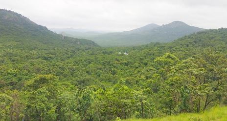 13 ಸಾವಿರ ಪರಿಭಾವಿತ ಅರಣ್ಯ ಗುರುತು