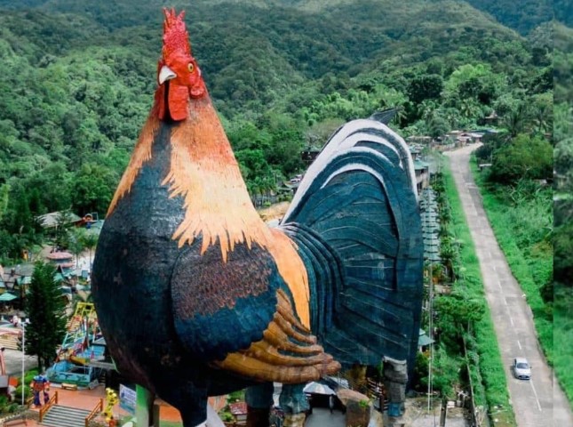 Trending Hotel: ಇದು ಕೋಳಿಯೂ ಅಲ್ಲ, ಕಲ್ಲಿನ ವಿಗ್ರಹವೂ ಅಲ್ಲ! ತನ್ನ ಲುಕ್ನಲ್ಲೇ ಗಿನ್ನಿಸ್ ಪುಟ ಸೇರಿತು ಈ ವಿಶೇಷ ಹೋಟೆಲ್