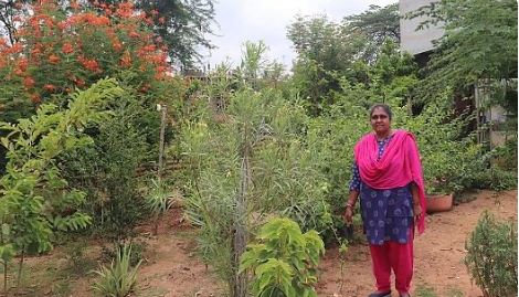 ಕುಮಾರಪಟ್ಟಣ: ಹಸಿರಿನಿಂದ ಕಂಗೊಳಿಸುವ ಕೋಡಿಯಾಲ ಶಾಲೆ