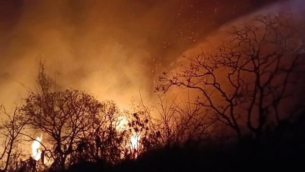 ಮೈಸೂರು || ಇನ್ಮುಂದೆ ಚಾಮುಂಡಿ ಬೆಟ್ಟದಲ್ಲಿ ನಿಯಮ ಉಲ್ಲಂಘಿಸಿದರೆ ಬೀಳುತ್ತೆ ದಂಡ!