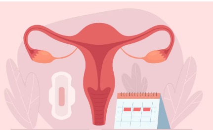ಮಹಿಳೆಯರೇ Menopause ನಂತರ heart ಆರೋಗ್ಯಕ್ಕೆ ಹೆಚ್ಚಿನ ಕಾಳಜಿ ಯಾಕೆಬೇಕುಗೊತ್ತಾ ..?