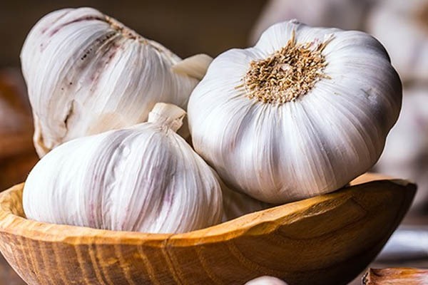 ಪ್ರತಿ night ಎರಡು Garlic ಎಸಳು ತಿಂದರೆ, ಈ ಎಲ್ಲಾ ಕಾಯಿಲೆಗಳು ಕೇವಲ 10 ದಿನದಲ್ಲಿ ಮಾಯವಾಗುತ್ತೆ..!