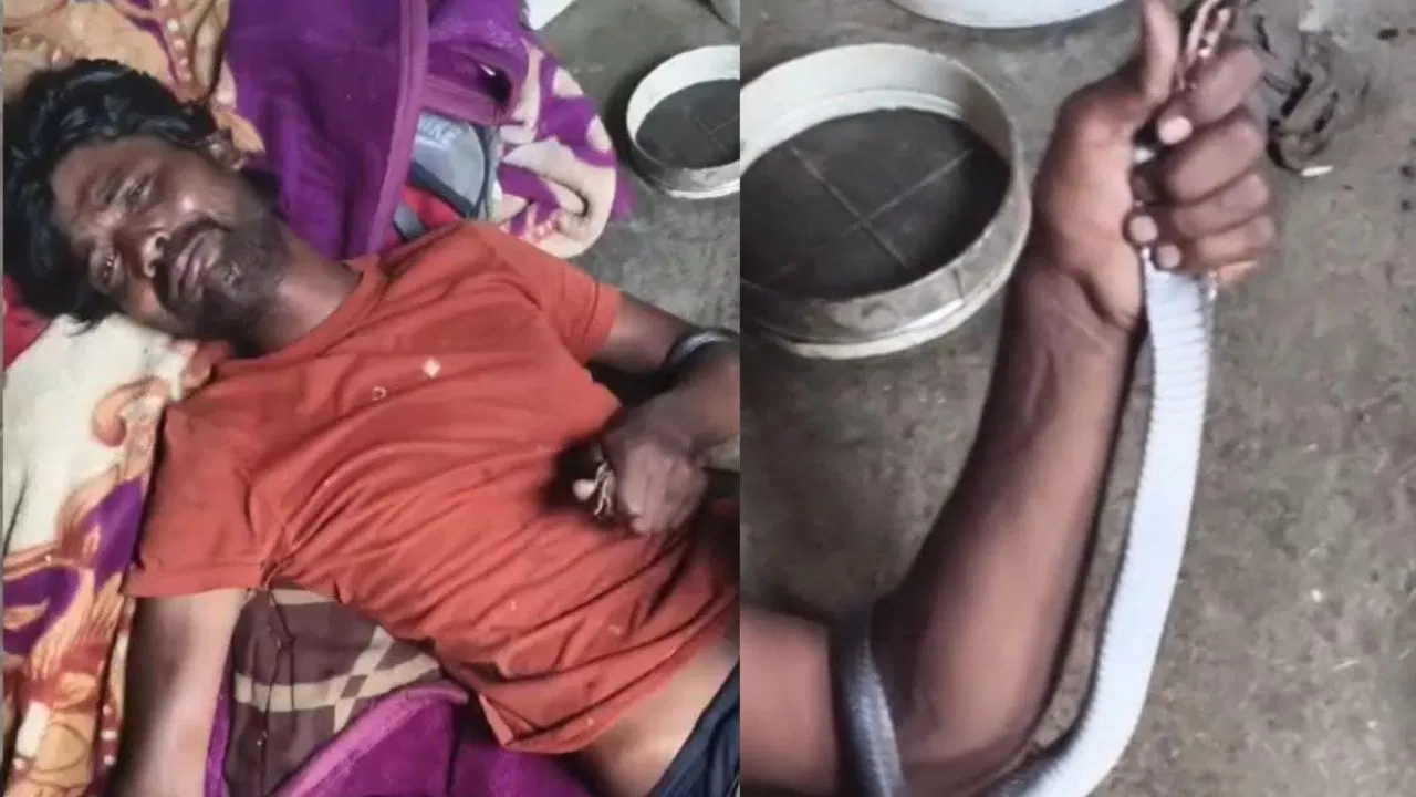 ಭಯದಲ್ಲಿ ಹಾವನ್ನೇ ಸಾಯಿಸಿ ಆಸ್ಪತ್ರೆಗೆ ಓಡೋಡಿ ಹೋದ ಯುವಕ, ಮುಂದೇನಾಯ್ತು ನೋಡಿ.