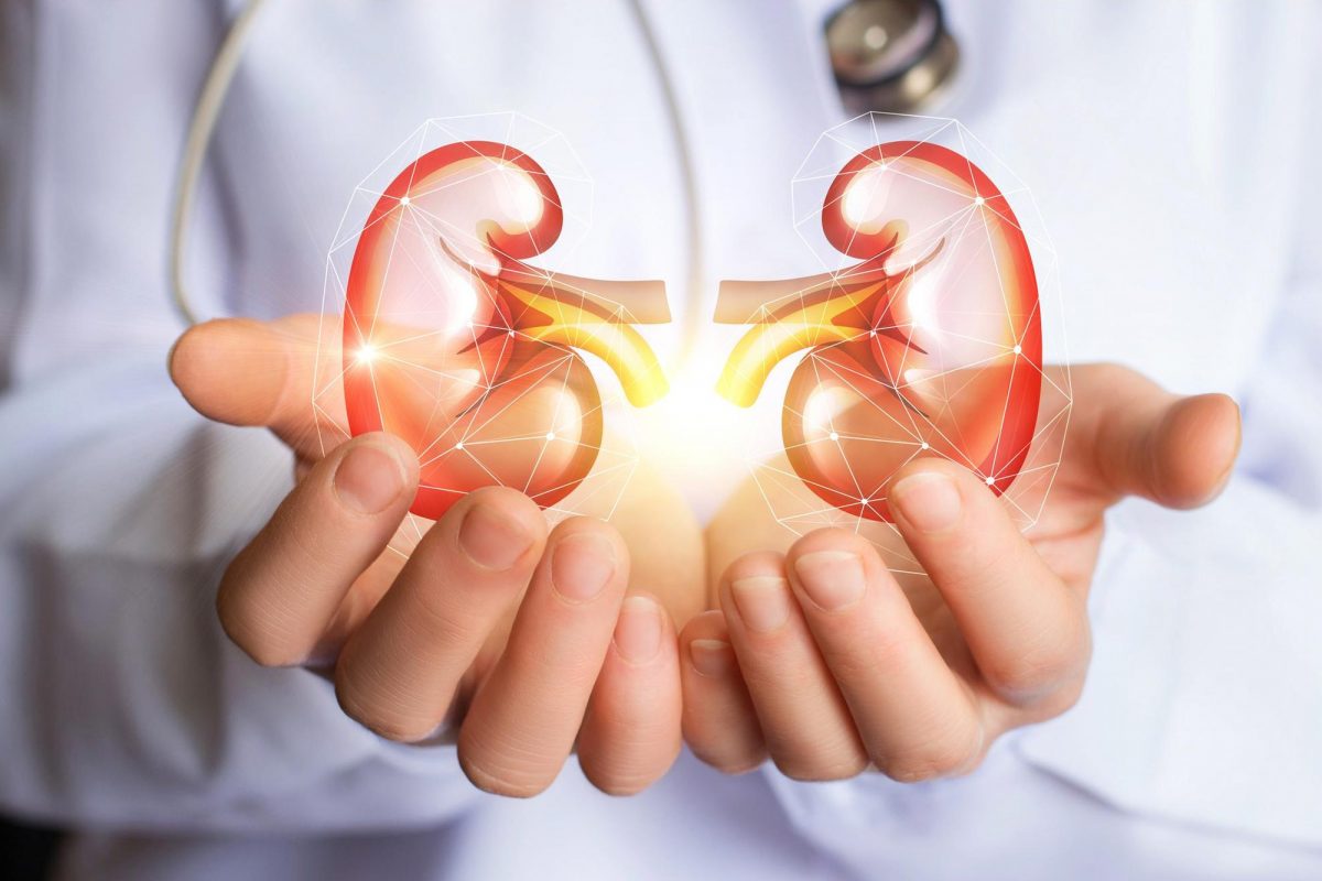 How much water should you drink daily for healthy kidneys?