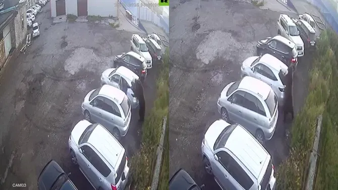 ಕೊನೆ ಕ್ಷಣದಲ್ಲಿ ಕರಡಿಯ ಅಟ್ಯಾಕಿಂದ ವ್ಯಕ್ತಿ ಕೂದಲೆಳೆಯ ಅಂತರದಲ್ಲಿ ಪಾರಾದ ದೃಶ್ಯ ವೈರಲ್!