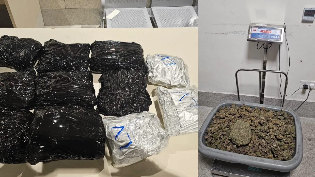 ಬೆಂಗಳೂರಿನ ಏರ್‌ಪೋರ್ಟ್‌ನಲ್ಲಿ 14 ಕೋಟಿ ರೂ. ಮೌಲ್ಯದ ಮಾದಕ ವಸ್ತು ಜಪ್ತಿ; 8 ಬಗೆಯ ಅಪರೂಪದ ಪ್ರಾಣಿಗಳೂ ವಶಕ್ಕೆ.