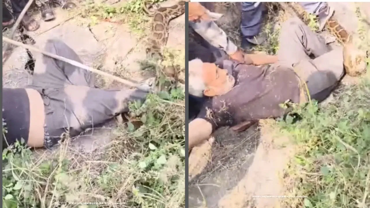 ಪೈಪ್ ರಿಪೇರಿಯ ವೇಳೆ ಹೆಬ್ಬಾವು ದಾಳಿ..!