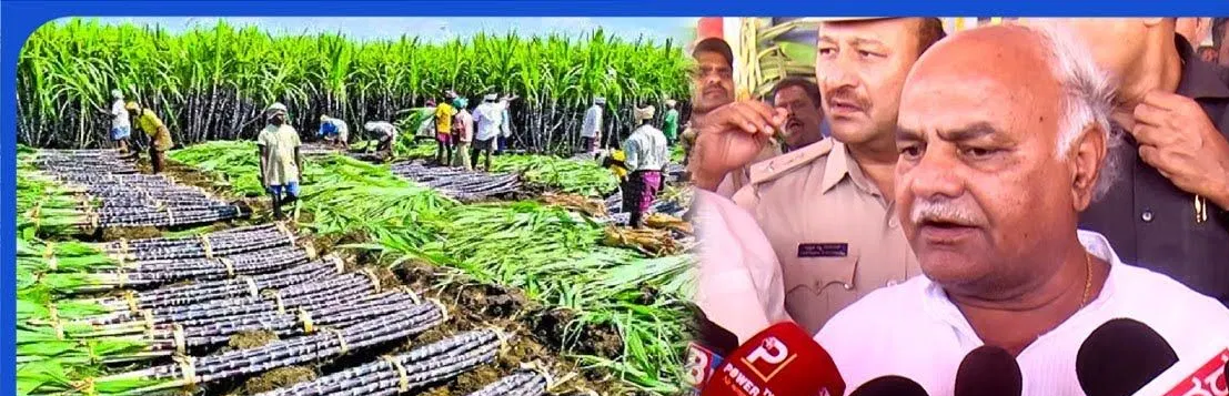 ಕಬ್ಬಿನ ಬೆಲೆ ವಿವಾದಕ್ಕೆ ಅಂತ್ಯ ಸಿಗಲಿದೆ? ಸಚಿವ ಶಿವಾನಂದ ಪಾಟೀಲ ಸ್ಪಷ್ಟನೆ ನೀಡಿದ್ರು!