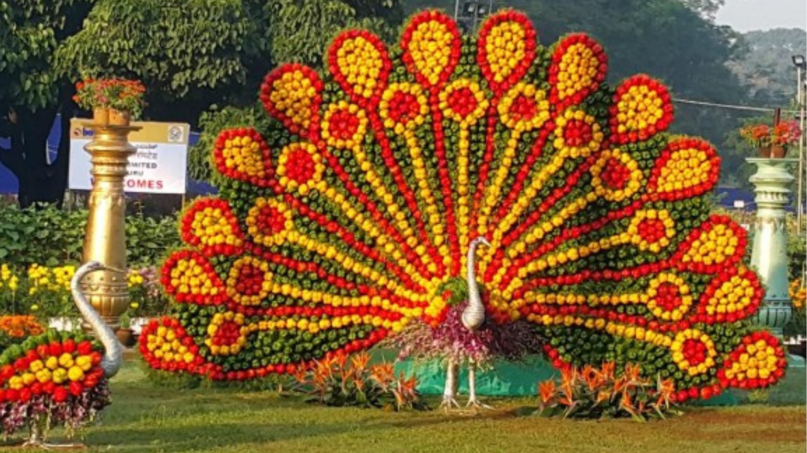 ಇಂದಿನಿಂದ 11 ದಿನಗಳ ಫ್ಲವರ್ ಶೋ – ಮಕ್ಕಳಿಗೆ ಉಚಿತ ಪ್ರವೇಶ