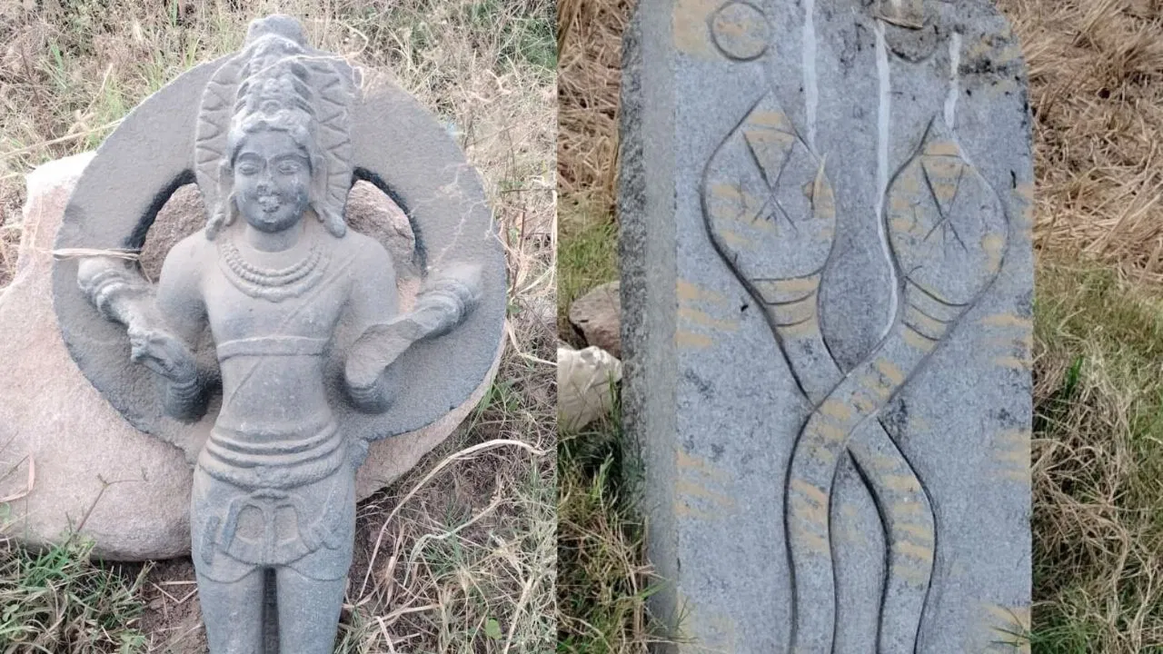 ಬಳ್ಳಾರಿಯಲ್ಲಿ 11ನೇ ಶತಮಾನದ ಸೂರ್ಯಮೂರ್ತಿ ಪತ್ತೆ.