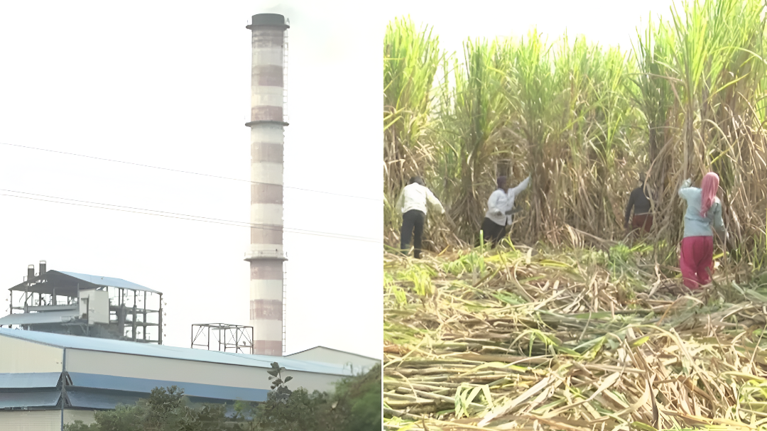 ಕಬ್ಬಿನ ಹಣಕ್ಕೆ ರೈತರ ಹೋರಾಟ.