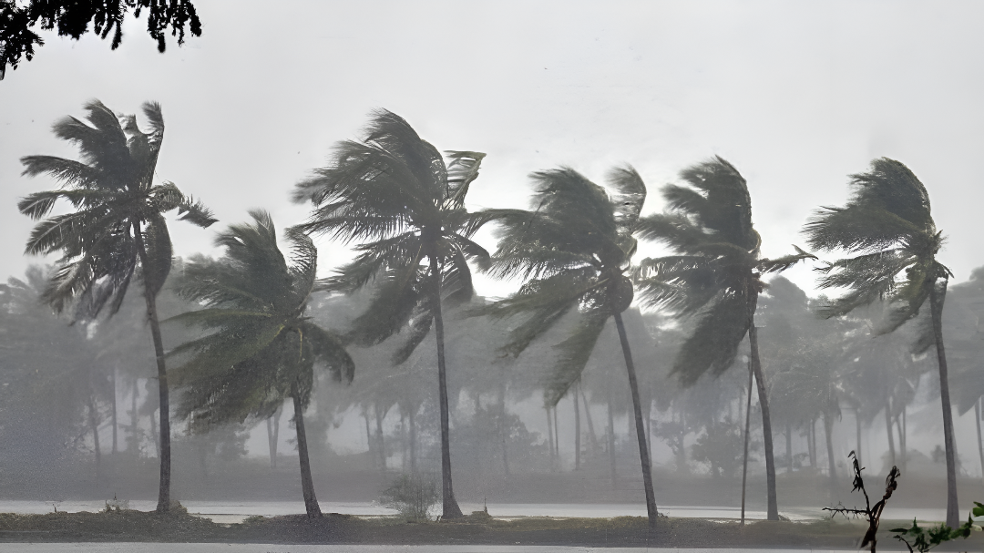 ಕರ್ನಾಟಕ ಹವಾಮಾನ ಅಪ್ಡೇಟ್: ರಾಜ್ಯದಲ್ಲಿ ಮತ್ತೆ ಒಣಹವೆಯ ಅಬ್ಬರ