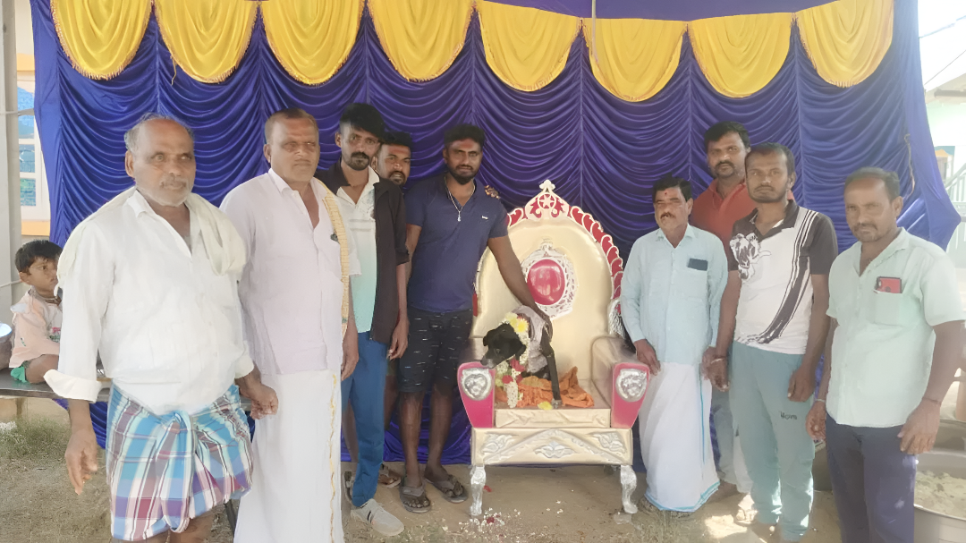 ತಿಪಟೂರು ತಾ. ದಸರಿಘಟ್ಟದಲ್ಲಿ ಶ್ವಾನಕ್ಕೆ ಅದ್ಧೂರಿ ಸೀಮಂತ!