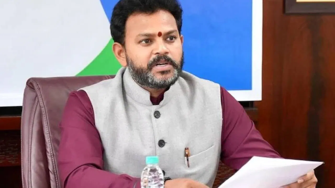 ಭಾರತಕ್ಕೆ 5 ದೊಡ್ಡ ವಿಮಾನಯಾನ ಸಂಸ್ಥೆಗಳ ಅಗತ್ಯ | ಸಚಿವರ ಘೋಷಣೆ.