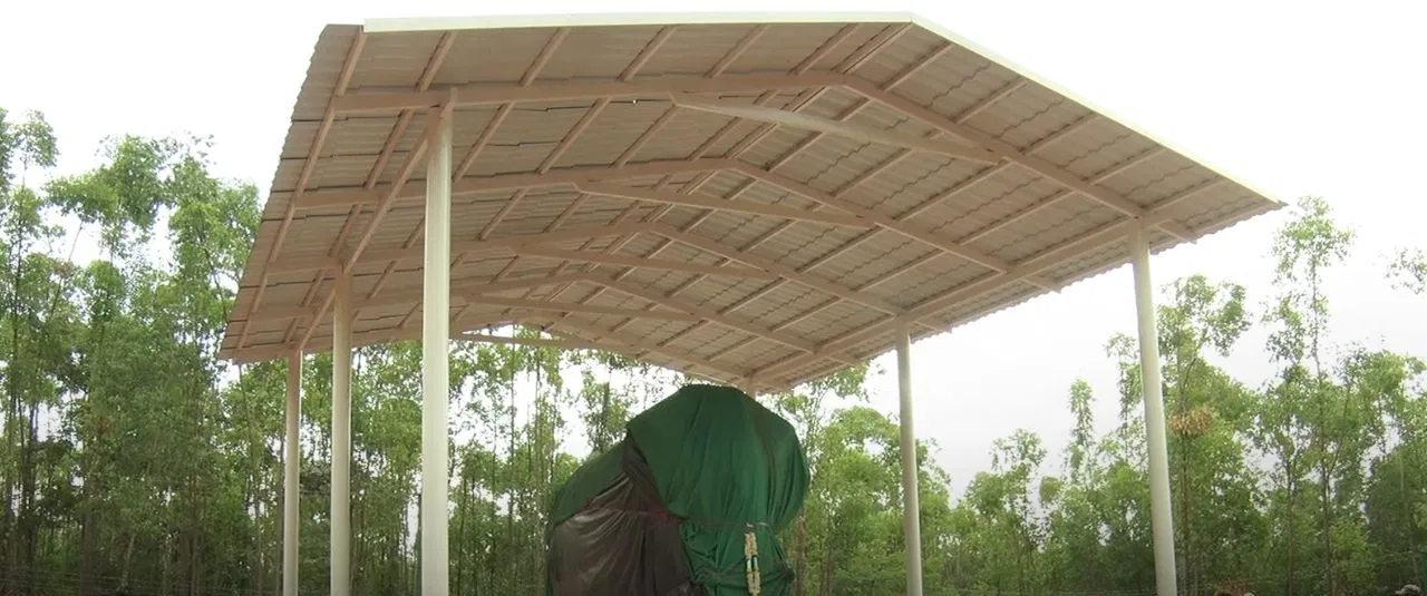 ಅರ್ಜುನ ಆನೆ ಸ್ಮಾರಕ ಸಿದ್ಧ–ಉದ್ಘಾಟನೆ ಮಾತ್ರ ಬಾಕಿ.