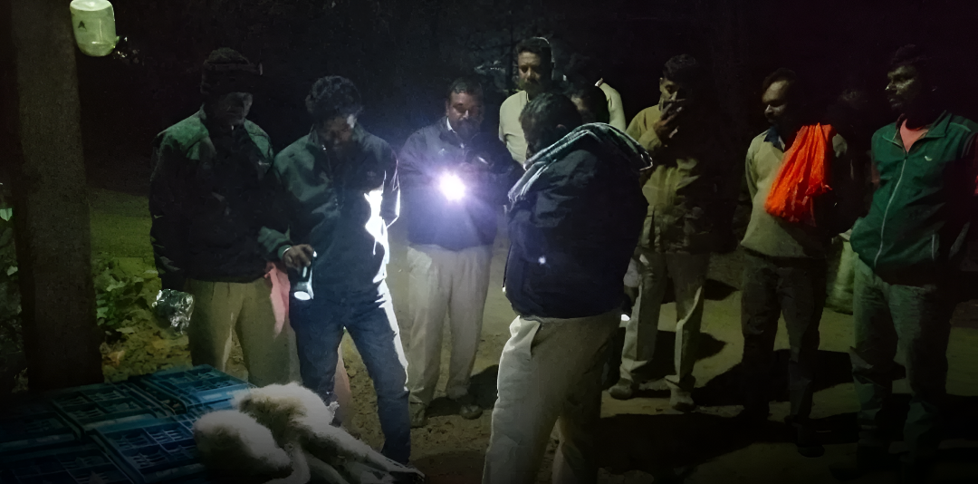 ತುಮಕೂರಿನಲ್ಲಿ ಮಂಗಗಳ ನಿಗೂಢ ಸಾ*.