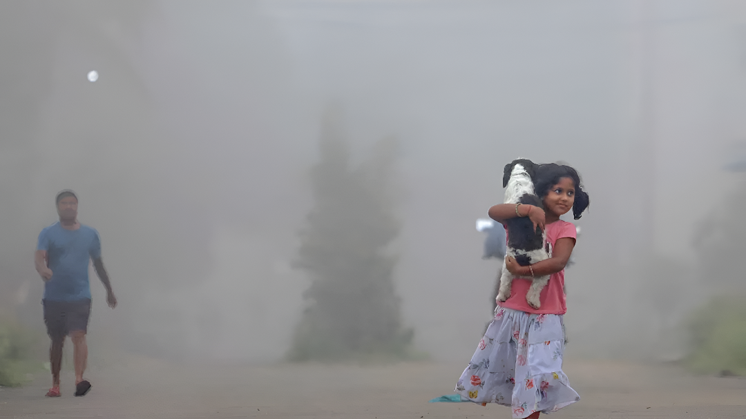 ರಾಜ್ಯದಲ್ಲಿ ಚಳಿ-ಒಣಹವೆ ಪ್ರಭಾವ.