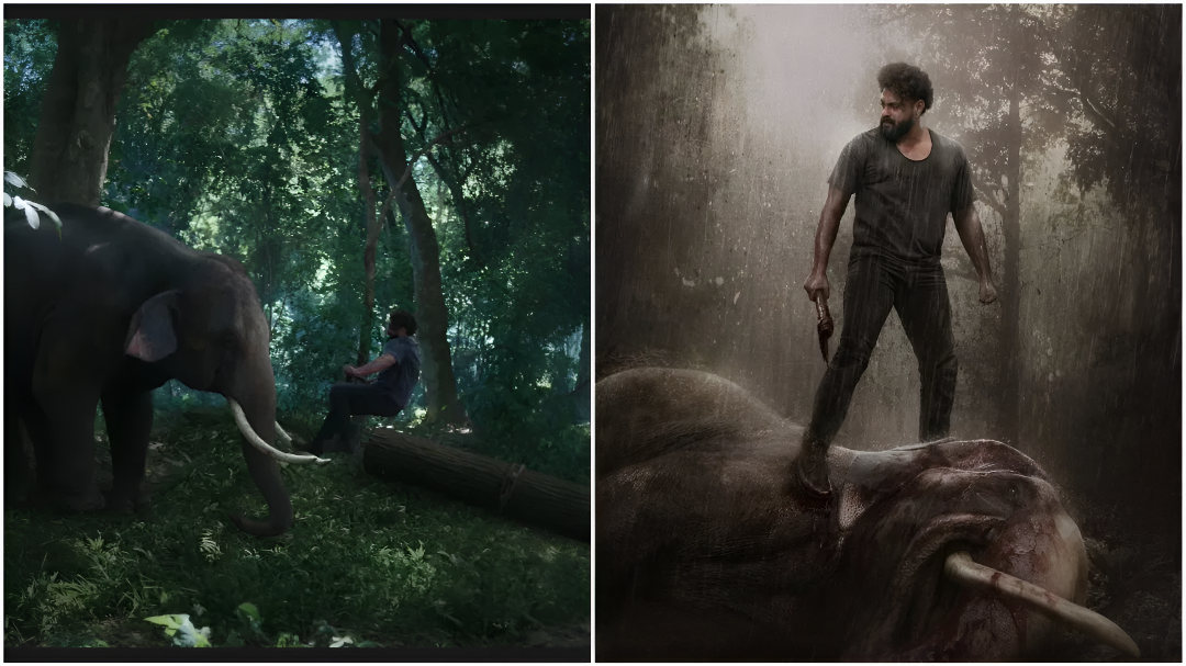 ಮತ್ತೊಂದು ‘ಪುಷ್ಪ’ ಚಿತ್ರ ನಾ?