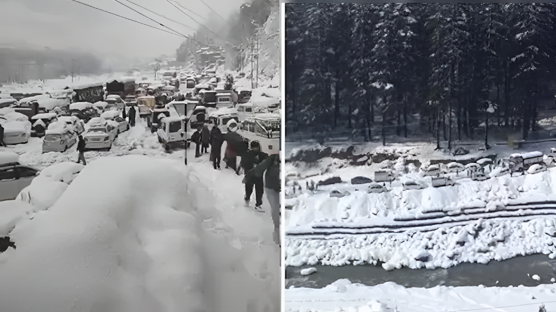ಹಿಮಪಾತದಿಂದ ಮನಾಲಿಯಲ್ಲಿ ಟ್ರಾಫಿಕ್ ಅಸ್ತವ್ಯಸ್ತ.