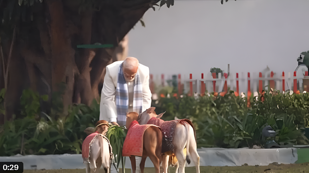 ಸಂಕ್ರಾಂತಿಯನ್ನು ವಿಶೇಷವಾಗಿ ಆಚರಿಸಿದ ಪ್ರಧಾನಿ.