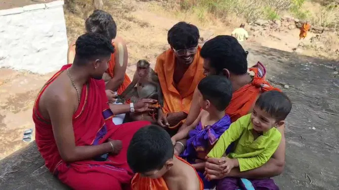 ಬಾಗಲಕೋಟೆಯಲ್ಲಿ ಅಪರೂಪದ ಮಂಗ ದರ್ಶನ.