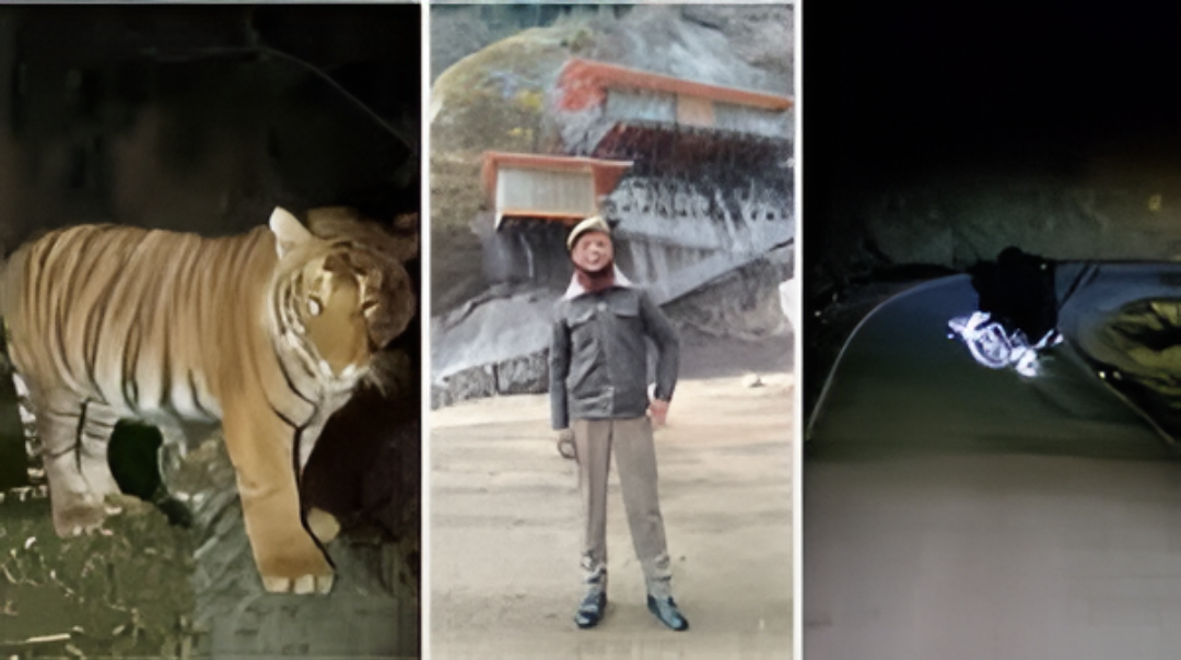 ಅರುಣಾಚಲ ಪ್ರದೇಶದಲ್ಲಿ Police Officer ಮೇಲೆ ಹುಲಿ ದಾಳಿ.