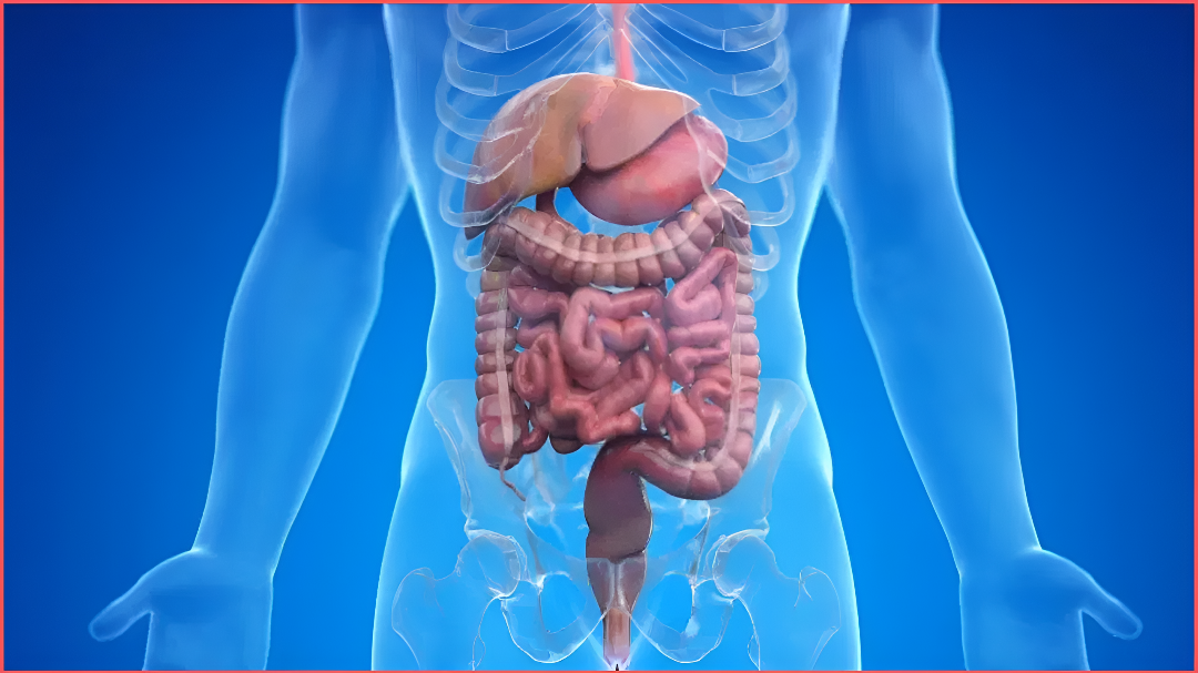 ಹೊಟ್ಟೆ ಭಾರ, ಉರಿ ಕಂಡರೆ ಎಚ್ಚರ!