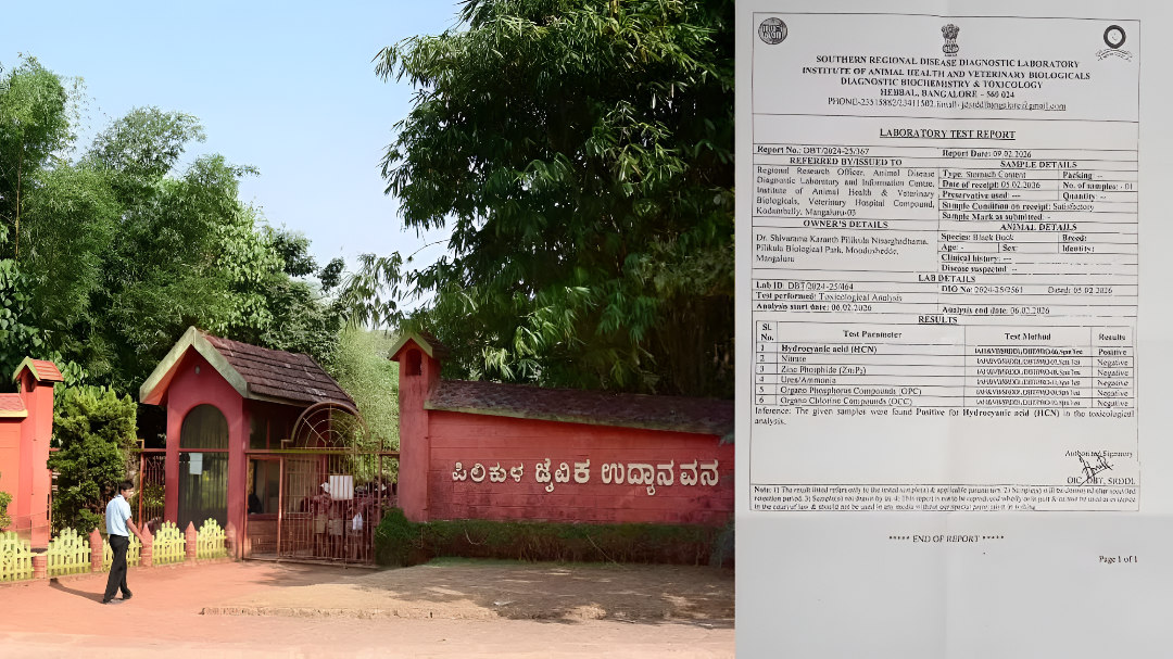 ಪಿಲಿಕುಳ ಮೃಗಾಲಯದಲ್ಲಿ ಅಸಹಜ ಸಾ*ಗಳ ರಹಸ್ಯ.