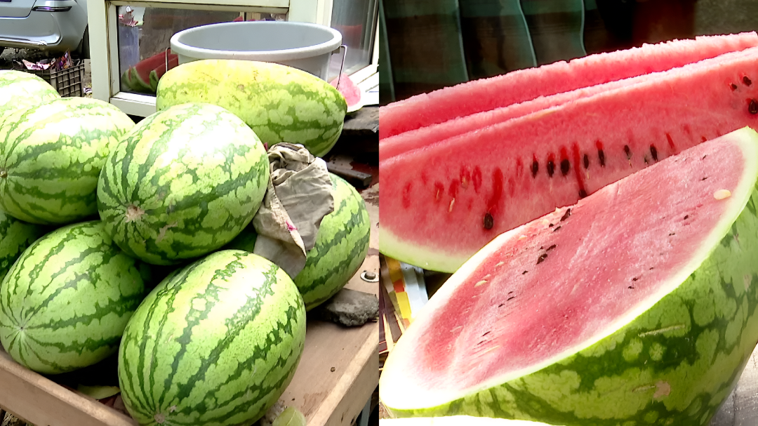 ಬೇಸಿಗೆ ಸೀಸನ್: ಕಲ್ಲಂಗಡಿ, ಐಸ್ ಕ್ರೀಂ ತಿನ್ನೋ ಮುನ್ನ ಎಚ್ಚರ!