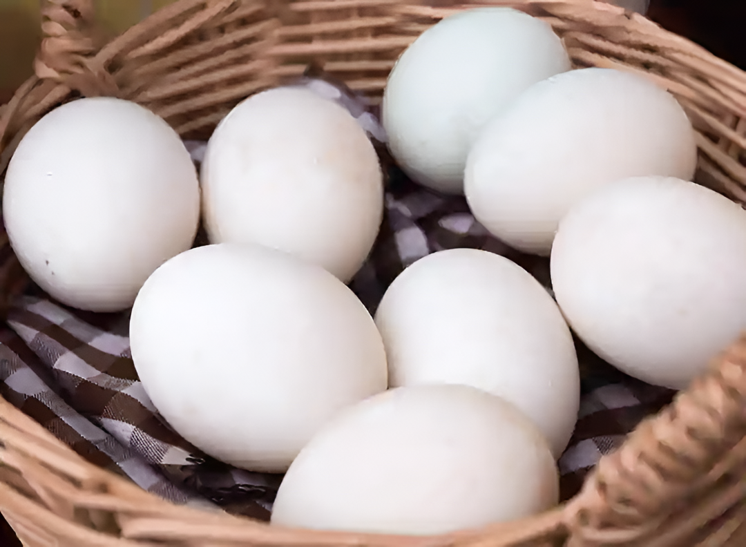 ಗದಗ ಅಂಗನವಾಡಿಗಳಲ್ಲಿ ಪೌಷ್ಠಿಕ ಆಹಾರ ಕೊರತೆ.