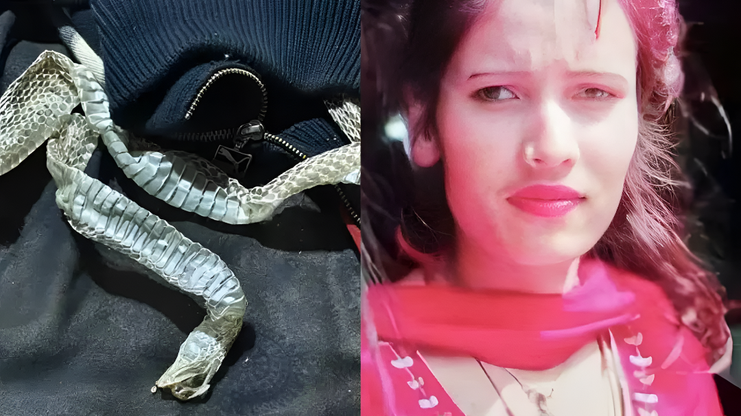 ಹಾಸಿಗೆಯಲ್ಲಿ ಹಾವಿನ ಪೊರೆ, ಯುವತಿ ನಾಪತ್ತೆ.!