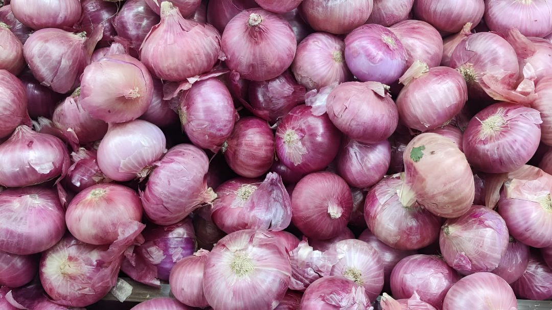 ಮಧ್ಯಪ್ರಾಚ್ಯ ಯುದ್ಧದ ಹೊಡೆತ: ಈರುಳ್ಳಿ ಬೆಲೆ ಪಾತಾಳಕ್ಕೆ