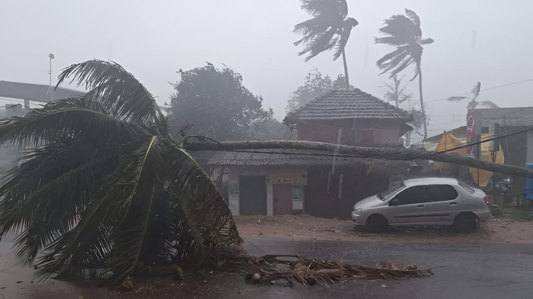 ಬಿರುಗಾಳಿ ಸಹಿತ ಧಾರಾಕಾರ ಮಳೆ, ಮೂಡಿಗೆರೆ ರಸ್ತೆಗಳು ಜಲಾವೃತ!