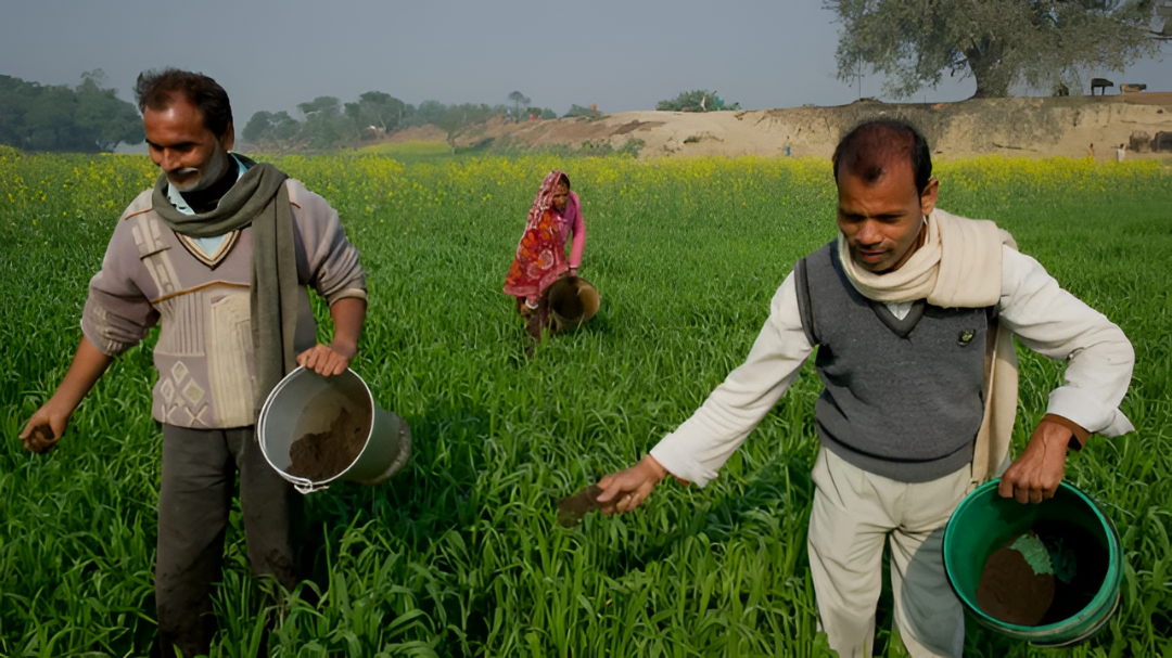 ಬಜೆಟ್‌ನಲ್ಲಿ ಮಹಿಳೆಯರು, ರೈತರು, ಆರೋಗ್ಯಕ್ಕೆ ಒತ್ತು: ಹಲವು ಹೊಸ ಘೋಷಣೆಗಳು.