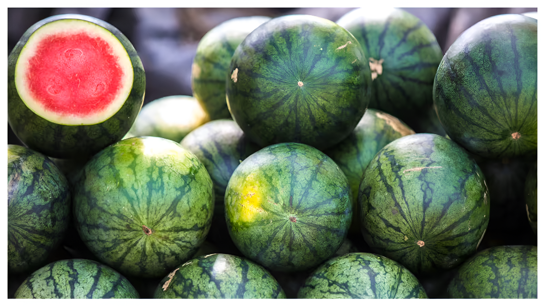 ಸಿಹಿಯಾದ ಕಲ್ಲಂಗಡಿ ಹಣ್ಣು ಆಯ್ಕೆ ಮಾಡೋದು ಹೇಗೆ?