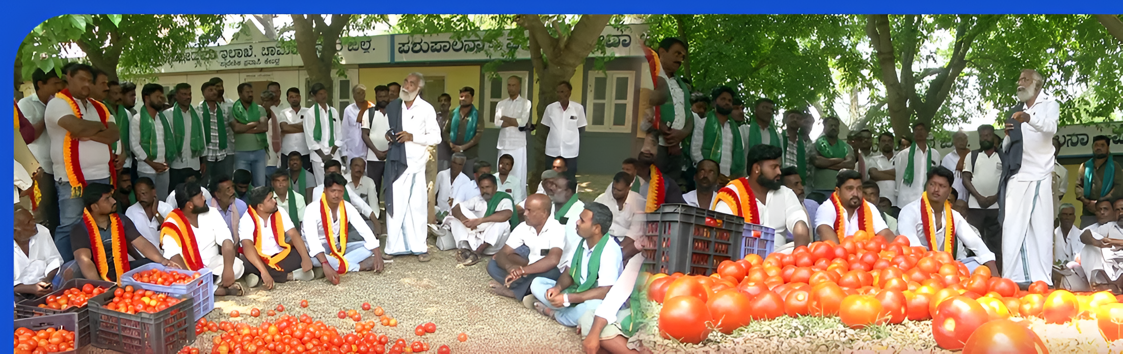 ಟೊಮೆಟೊ ಬೆಲೆ ಕುಸಿತ: ರಸ್ತೆಗೆ ಸುರಿದು ರೈತರ ಆಕ್ರೋಶ