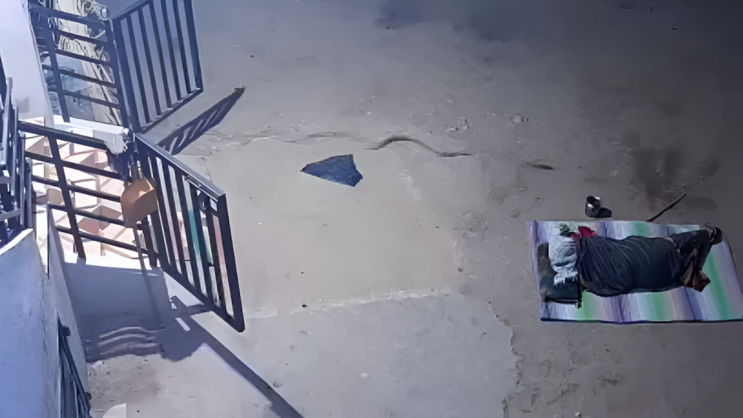 ಮನೆಯ ಅಂಗಳದಲ್ಲಿ ಮಲಗಿದ್ದ ವೃದ್ಧೆಗೆ ಹಾವು ಕಚ್ಚಿಯೆ ಬಿಡ್ತು.