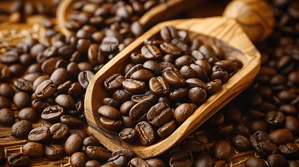 ಕಾಫಿ ಬೆಳೆಗಾರರ ಕಣ್ಣೀರು: ಯುದ್ಧದಿಂದ ರಫ್ತು ಸ್ಥಗಿತ.