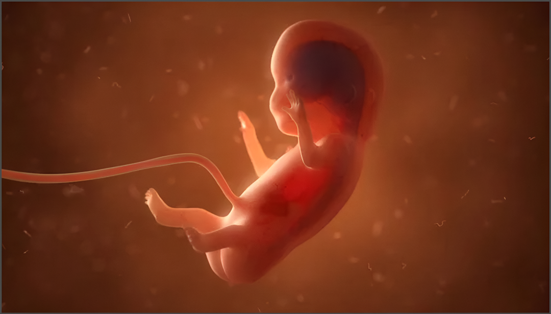 ಗರ್ಭಿಣಿಗೆ ಕ್ರೂರ ಹ*: ಅವಳಿ ಶಿಶುಗಳ ದಾರುಣ ಸಾ*!