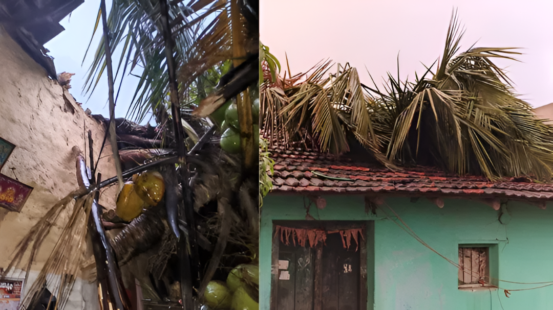 ಮನೆ ಮೇಲೆ ತೆಂಗಿನ ಮರ ಬಿದ್ದು ಅನಾಹುತ.