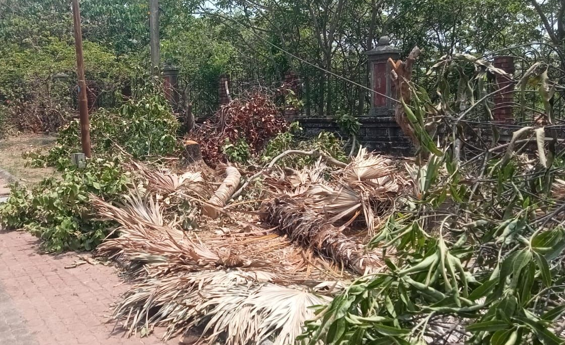 ಉಡುಪಿ DC ಕಚೇರಿ ಆವರಣದಲ್ಲಿ ಮರಗಳ ಕಡಿತ..!