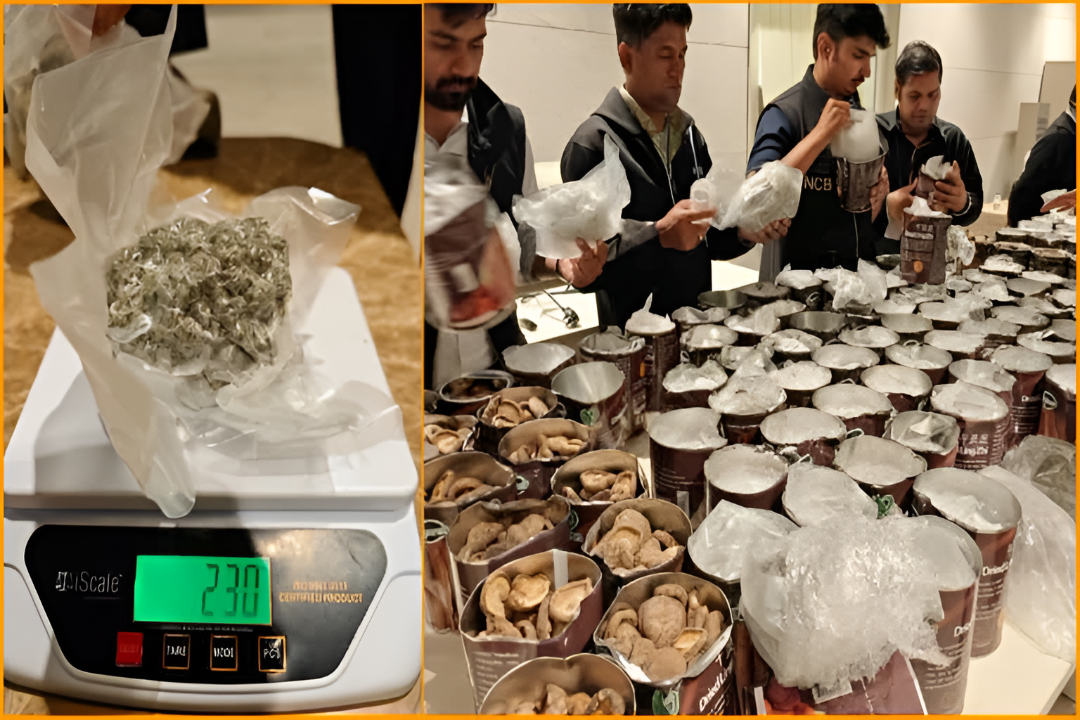 ಬೆಂಗಳೂರು ಪೊಲೀಸರಿಂದ ಮೆಗಾ ಡ್ರಗ್ ಬೇಟೆ: 1 ವಾರದಲ್ಲಿ ₹50 ಕೋಟಿ ಮೌಲ್ಯದ ಮಾದಕ ವಸ್ತು ಜಪ್ತಿ.!