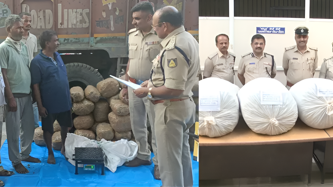 ಜಿಗಣಿ ಪೊಲೀಸರ ಭರ್ಜರಿ ಕಾರ್ಯಾಚರಣೆ: 250 ಕೆಜಿ ಗಾಂಜಾ ಜಪ್ತಿ, ಇಬ್ಬರ ಬಂಧನ.!