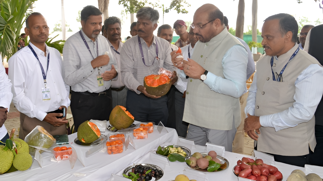 ರೈತರಿಗೆ ಬಂಪರ್, 'ಅರ್ಕ ಜಾಮುನ್ ಪ್ರೈಡ್, ಅರ್ಕ ಶಿವ' ಹೊಸ ಹಣ್ಣು ತಳಿಗಳ ಲೋಕಾರ್ಪಣೆ.!