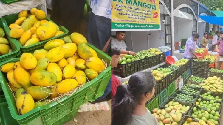 ಬೆಂಗಳೂರಿನ ಕಬ್ಬನ್‌ ಪಾರ್ಕ್‌ನಲ್ಲಿ  ಮಾವು-ಹಲಸು ಮೇಳ.!